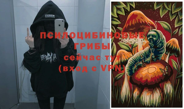 2c-b Балахна