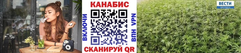 Шишки марихуана гибрид Зима